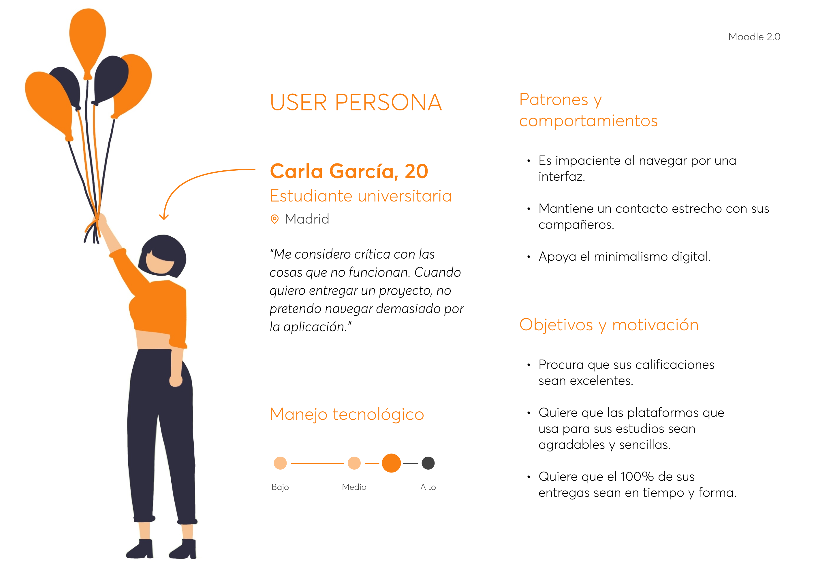 user persona